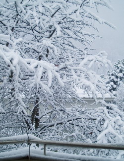 Just Some Fresh Snow